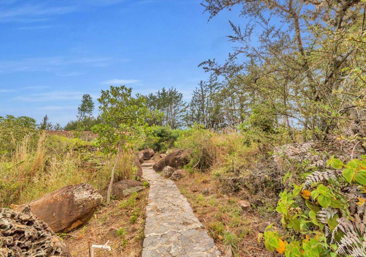 El Hayuelo Ecolodge Вилья-де-Лейва Экстерьер фото