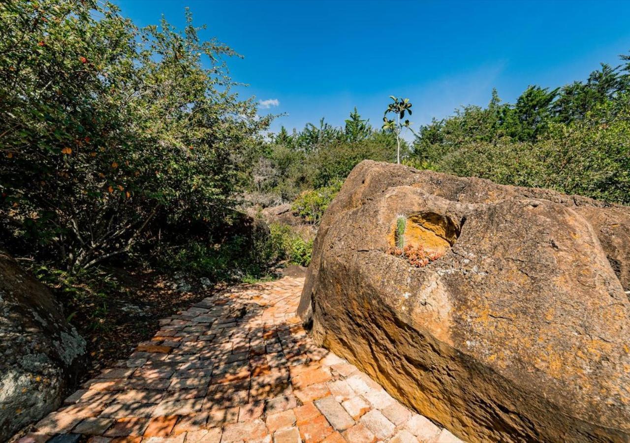 El Hayuelo Ecolodge Вилья-де-Лейва Экстерьер фото