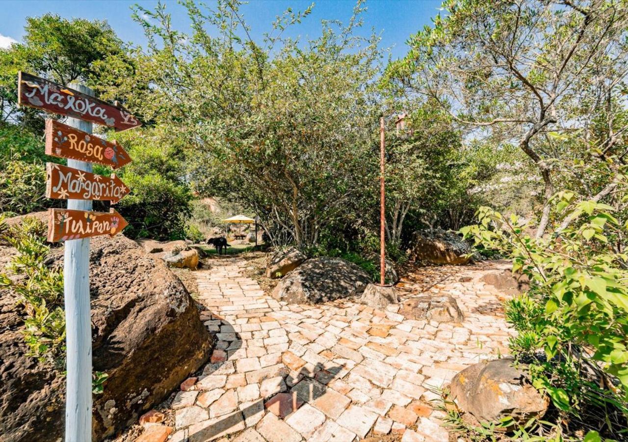 El Hayuelo Ecolodge Вилья-де-Лейва Экстерьер фото