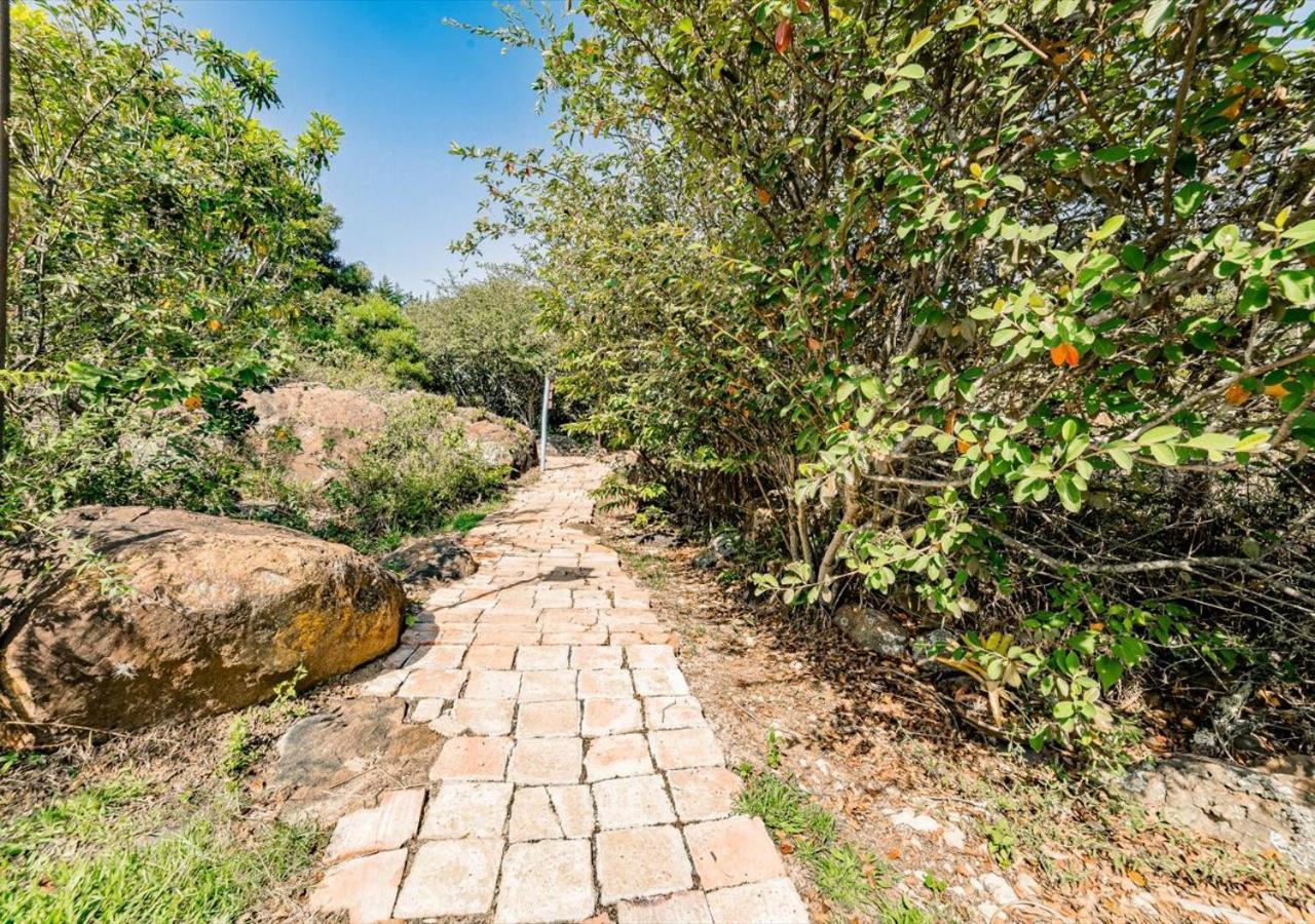 El Hayuelo Ecolodge Вилья-де-Лейва Экстерьер фото